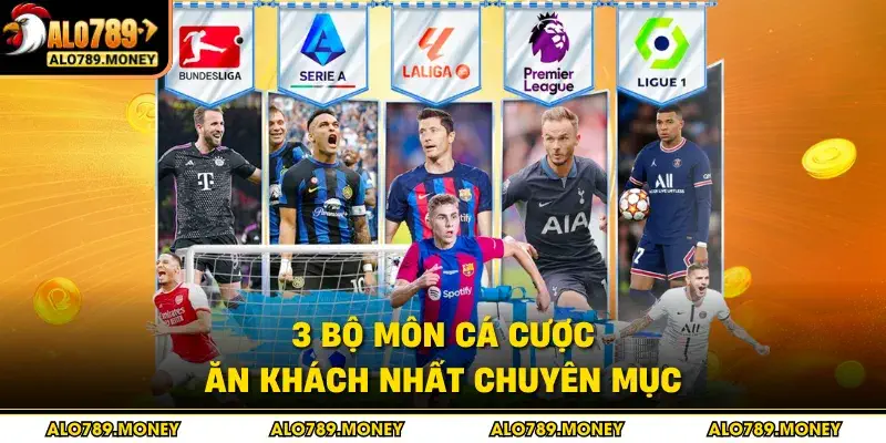 3 bộ môn cá cược ăn khách nhất chuyên mục 3 bộ môn cá cược ăn khách nhất chuyên mục