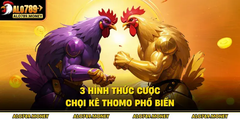 3 hình thức cược chọi kê Thomo phổ biến 3 hình thức cược chọi kê Thomo phổ biến