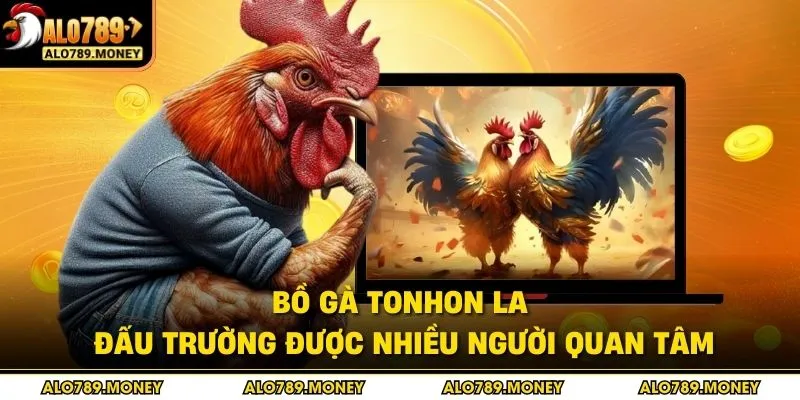 Bồ gà Tonhon là đấu trường được nhiều người quan tâm