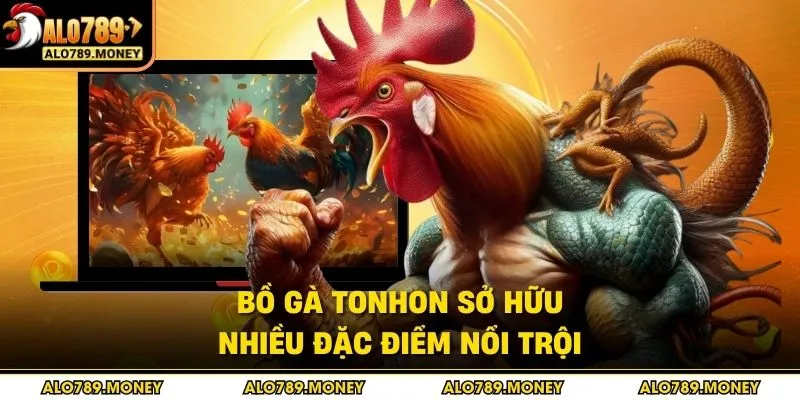 Bồ gà Tonhon sở hữu nhiều đặc điểm nổi trội