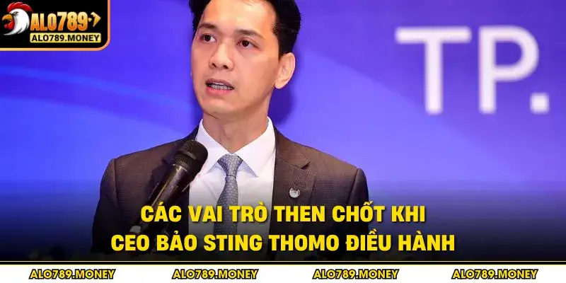 Các vai trò then chốt khi Ceo Bảo Sting Thomo điều hành
