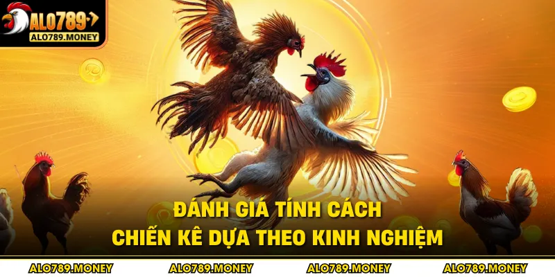 Đánh giá tính cách chiến kê dựa theo kinh nghiệm
