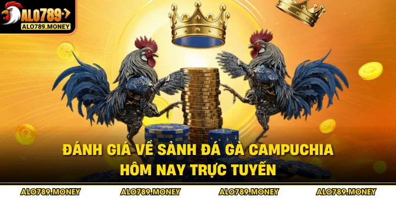 Đánh giá về sảnh đá gà Campuchia hôm nay trực tuyến