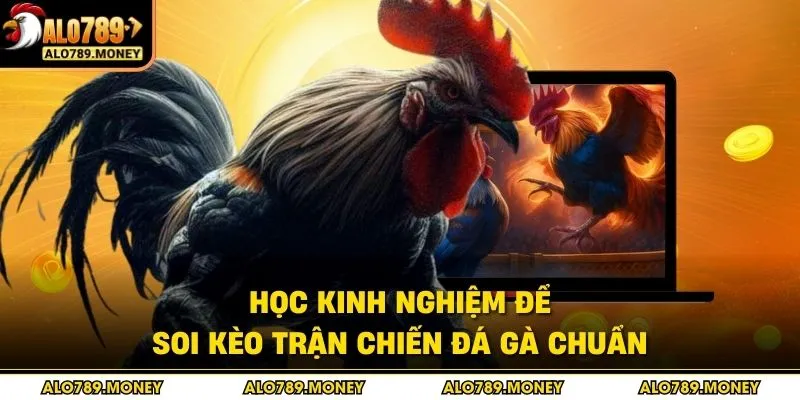 Học kinh nghiệm để soi kèo trận chiến đá gà chuẩn