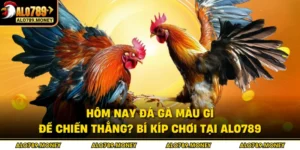 Hôm Nay Đá Gà Màu Gì Để Chiến Thắng? Bí Kíp Chơi Tại ALO789