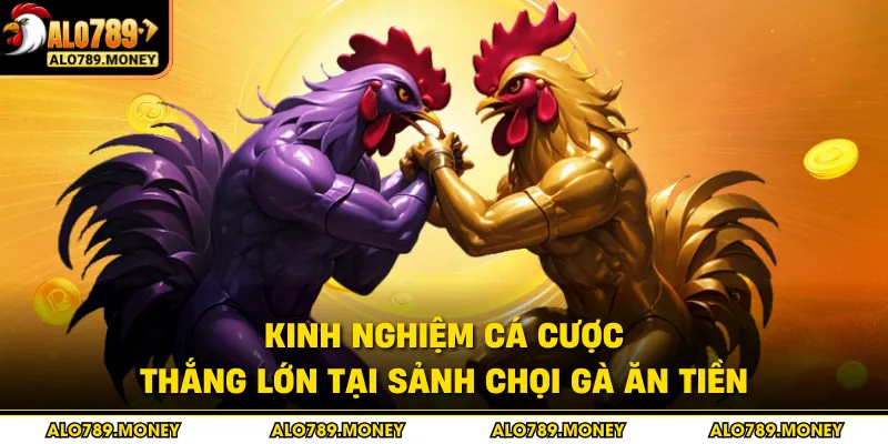 Kinh nghiệm cá cược thắng lớn tại sảnh chọi gà ăn tiền
