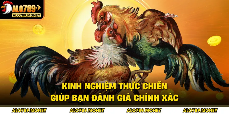 Kinh nghiệm thực chiến giúp bạn đánh giá chính xác