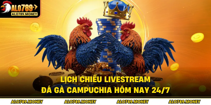 Lịch chiếu livestream đá gà Campuchia hôm nay 24/7