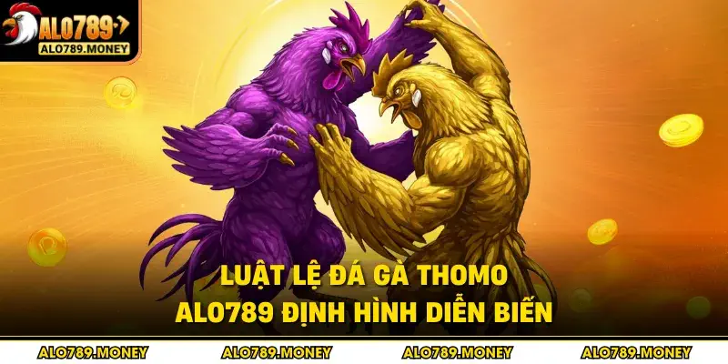 Luật lệ đá gà Thomo ALO789 định hình diễn biến Luật lệ đá gà Thomo ALO789 định hình diễn biến
