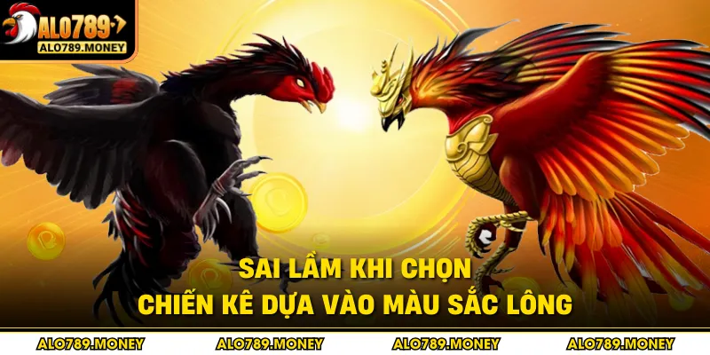 Sai lầm khi chọn chiến kê dựa vào màu sắc lông