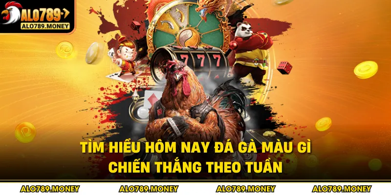 Tìm hiểu hôm nay đá gà màu gì chiến thắng theo tuần