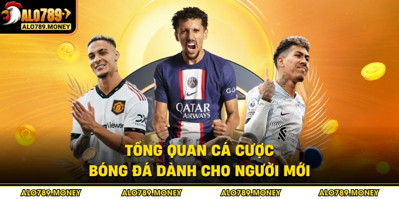 Tổng quan cá cược bóng đá dành cho người mới